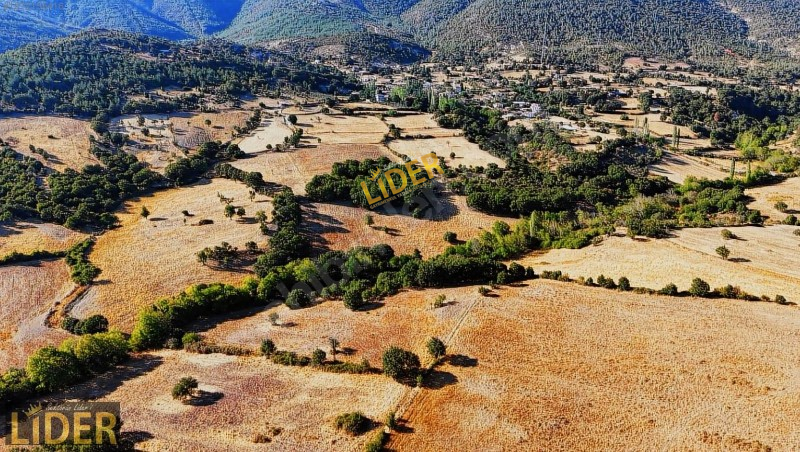 LİDER GYO BAYRAMİÇ YUKARIŞAPÇI 12.300 m2 KELEPİR FIRSAT