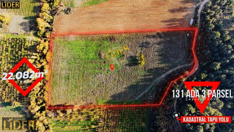 LİDER GYO BAYRAMİÇ ÇAVUŞLU 22.082 m2 BAĞ TAPUSU KAÇMAZ FIRSAT
