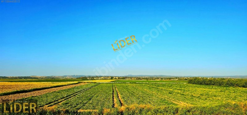 ÇANAKKALE MERKEZ TEVFİKİYE KÖYÜNDE 1.565 M2 FIRSAT TARLA !!!!