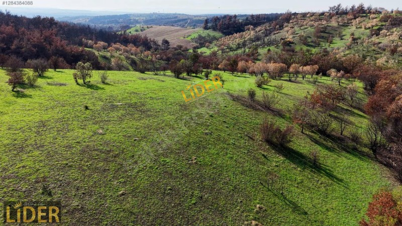 LİDER GYO BAYRAMİÇ DOĞANCI KÖYÜ 27.000 m² YOLA CEPHE TARLA