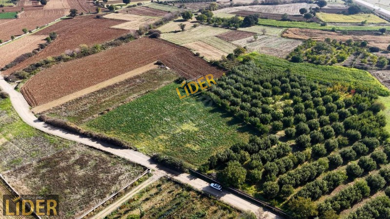 LİDER GYO BAYRAMİÇ TÜRKMENLİ 3 TAPU BİTİŞİK KAYMAK GİBİ KAÇMAZ