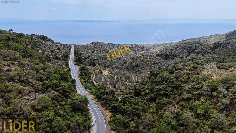 LİDER GYO ASSOS NUSRATLI FULL DENİZ MANZARALI 35.527 m2