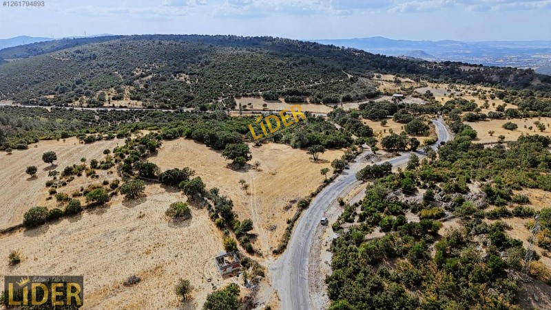 LİDER GYO AYVACIK KÜÇÜKHUSUN 44 DÖNÜM ASFALTA CEPHE TEK TAPU