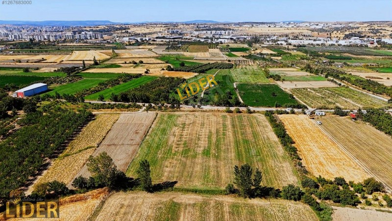 LİDER GYO ÇANAKKALE SARAYCIK ASFALT CEPHE 11.756 m2 İMAR DİBİ