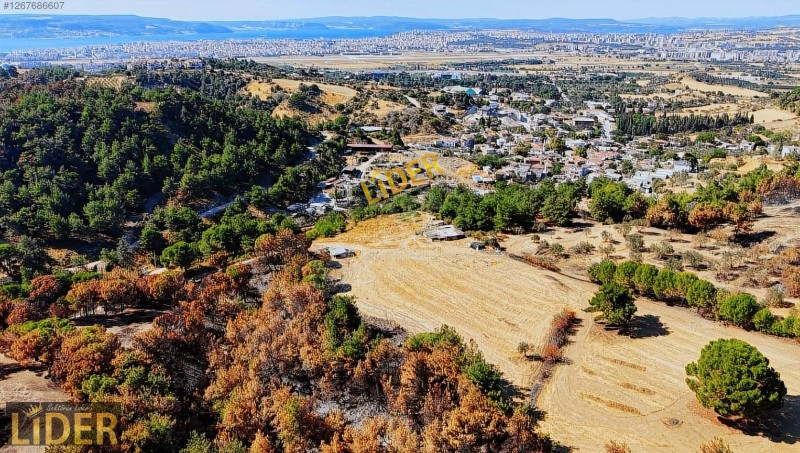 LİDER GYO ÇANAKKALE SARICAELI 14.439 m2 YOLA CEPHE FULL DENİZ