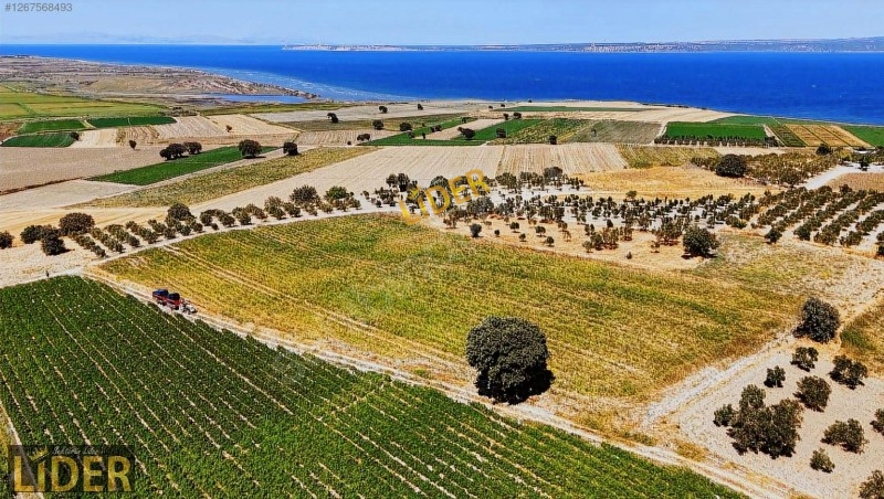 LİDER GYO KUMKALE DENİZ MANZARA 9.485 m&sup2; YOLA CEPHE BAĞ VE TARLA