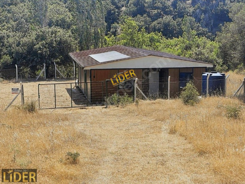 LİDER GYO AYVACIK SAPANCA 613 m2 İ&Ccedil;İ SIFIR 3+1 M&Uuml;STAKİL BAH&Ccedil;ELİ